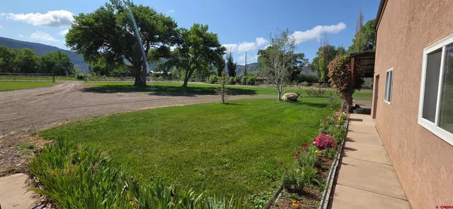 a view of a park with large trees