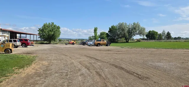 a park with lots of trees and plants