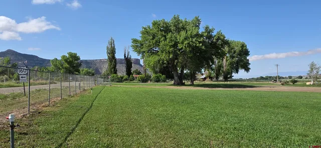 a view of a garden with an outdoor space