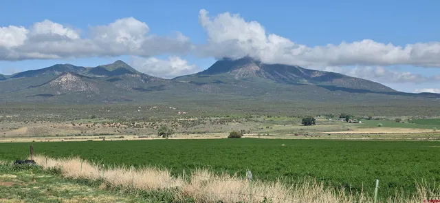 a front view of a house with garden and trees