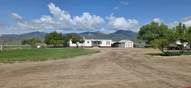 a view of backyard of house