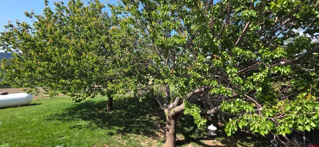 a view of a golf course with a lake