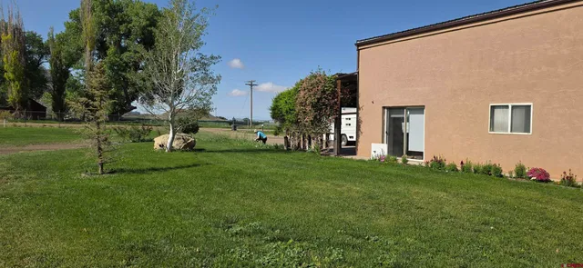 a view of a backyard with plants and a tree