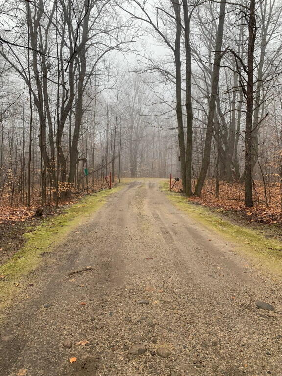 1020 Snake Branch Road Mio, MI 48647 - Photo 26 of 35 Gallery Image 26
