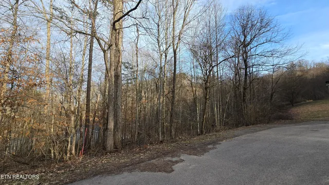 $55,000 | 0 Lick Skillet Road, Maynardville, TN 37807
