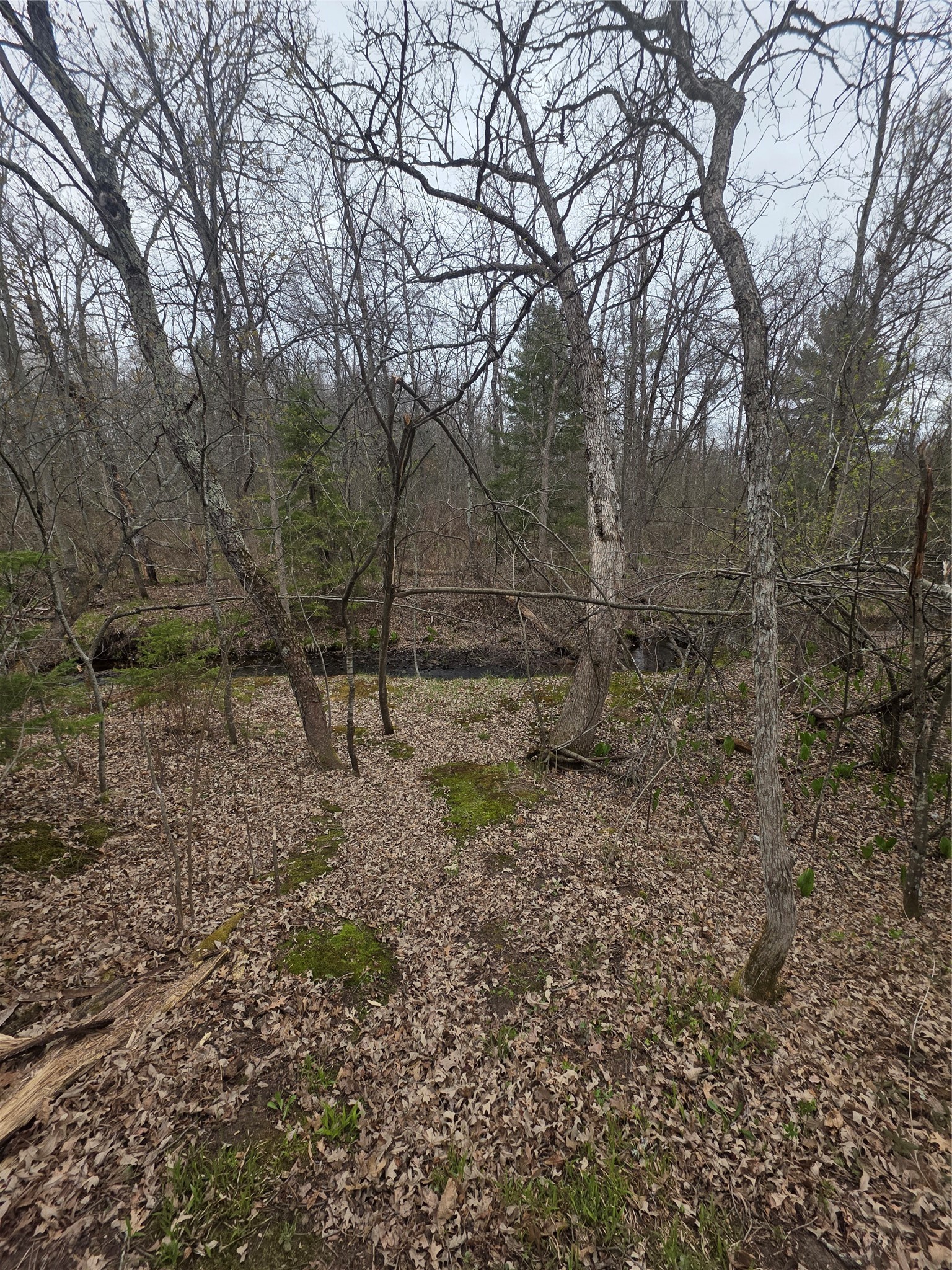 N8644 Lumbard Lane Springbrook, WI 54875 - Photo 29 of 39