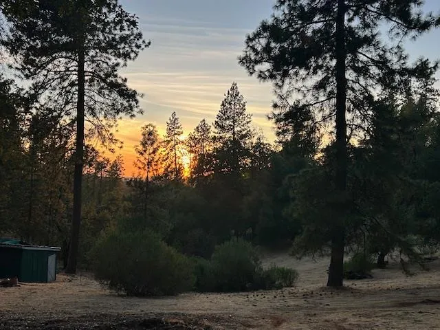 a view of livingroom with furniture