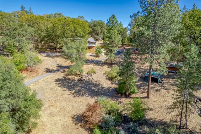 a view of a backyard with large trees and wooden fence
