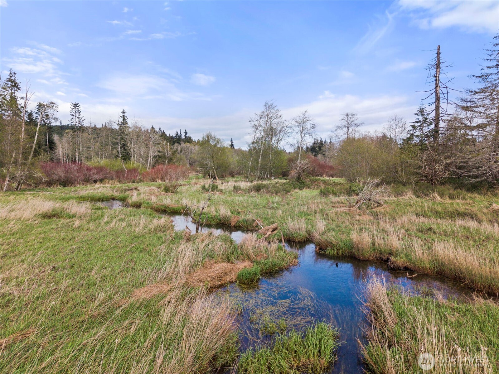 4466 West State Rte 108 Shelton, WA 98584 - Photo 32 of 33