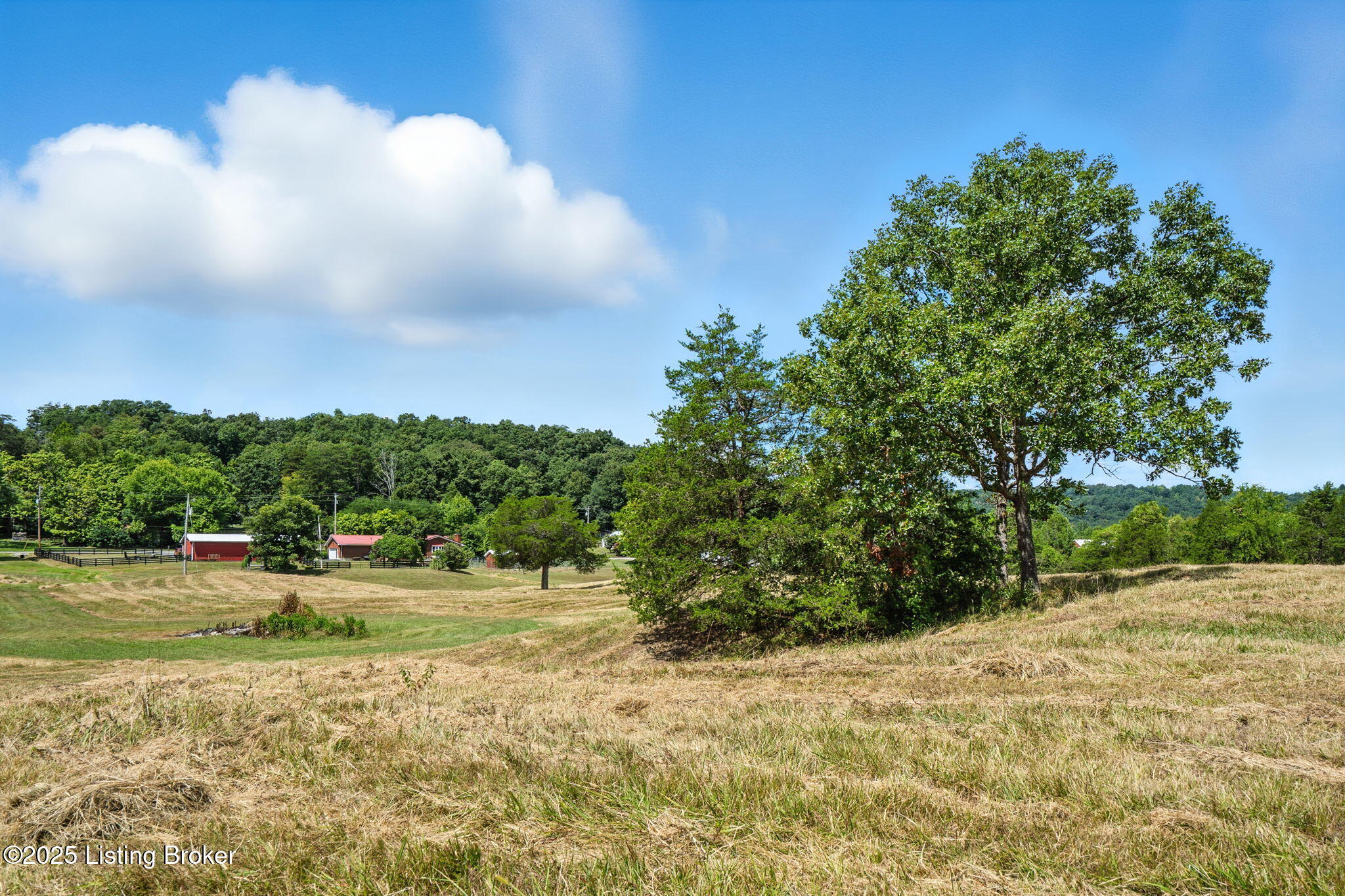 2787 Raymond Road Shepherdsville, KY 40165 - Photo 109 of 117 2787 Raymond Rd-59
