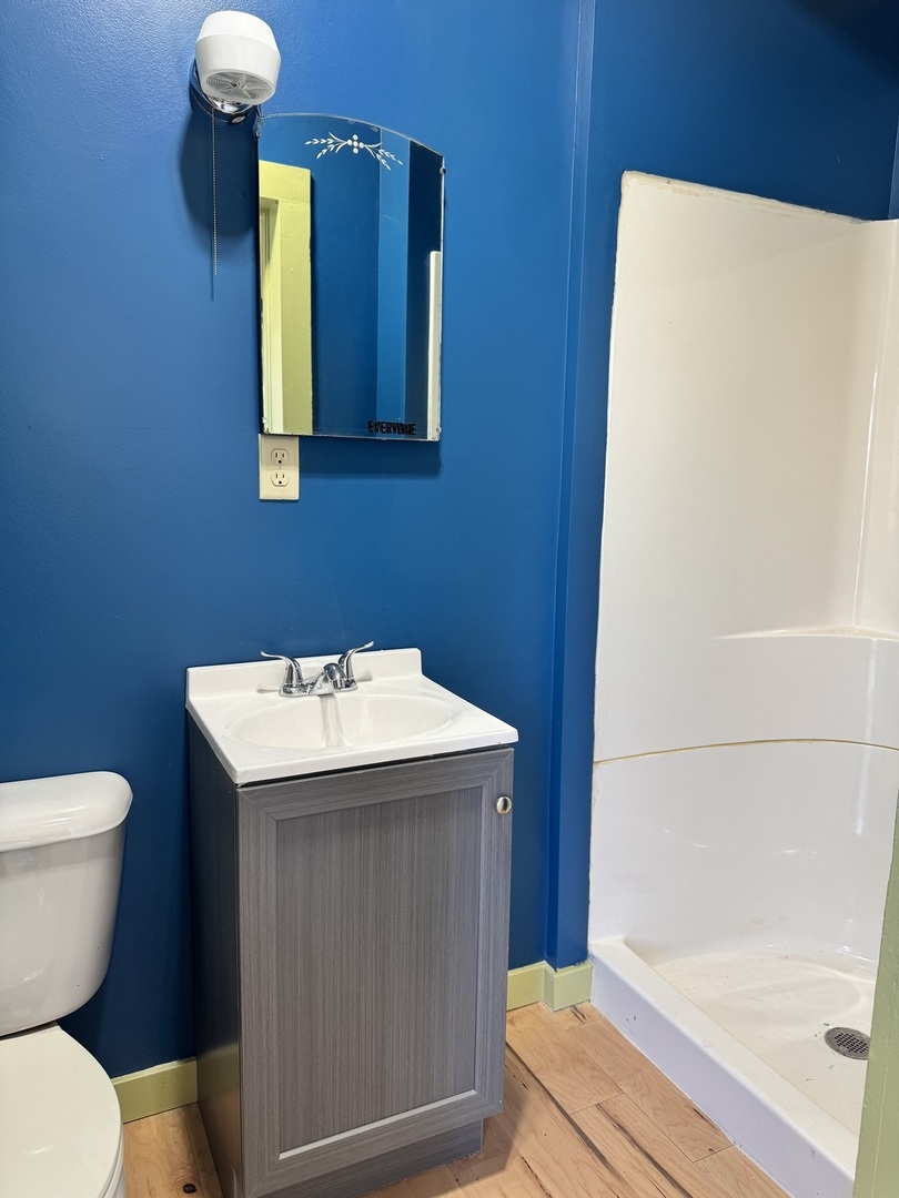 410 3rd Street Mendota, IL 61342 - Photo 10 of 18 a bathroom with a sink and a mirror