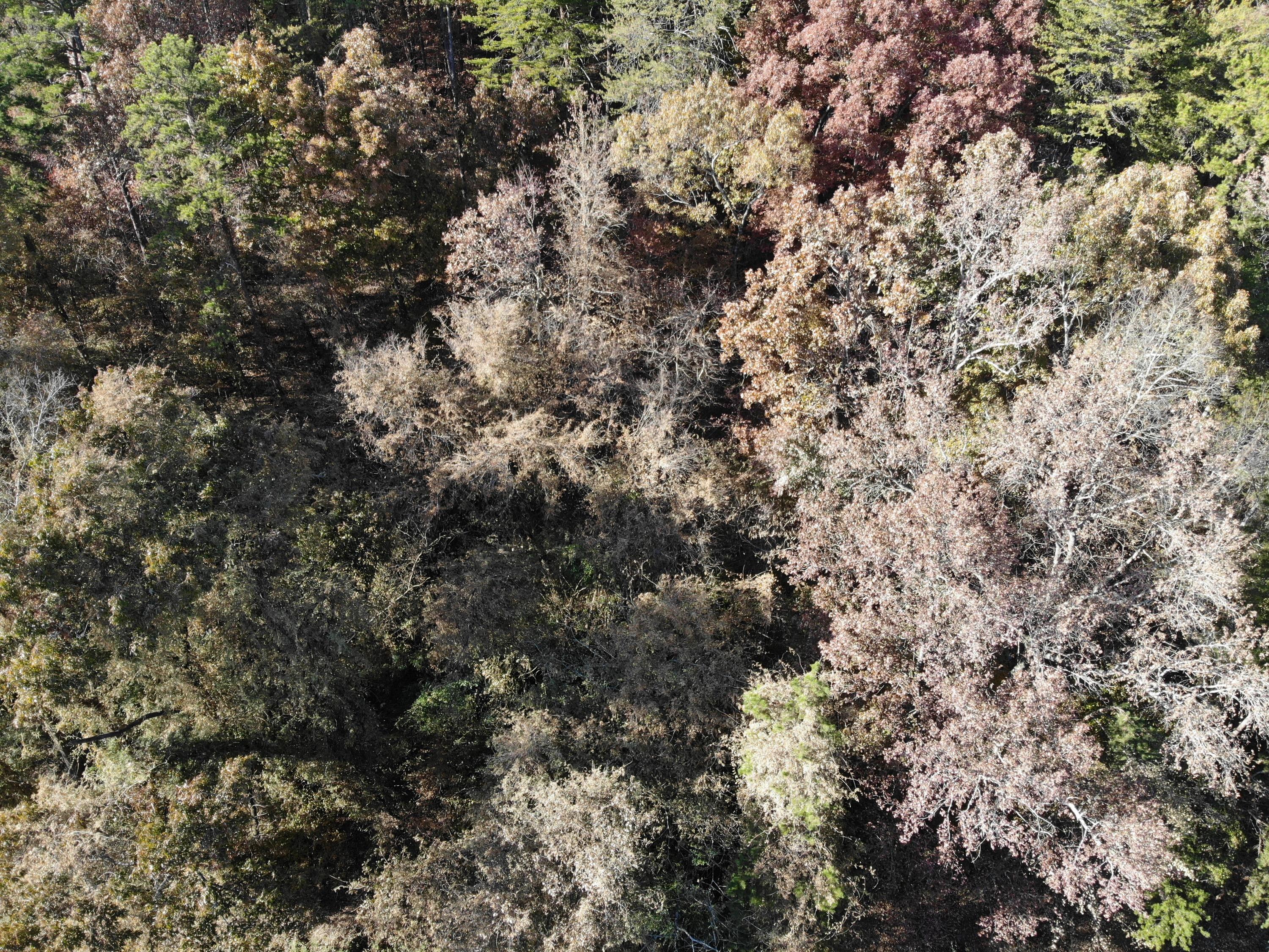 0 Dry Valley Road Rossville, GA 30741 - Photo 2 of 4 4