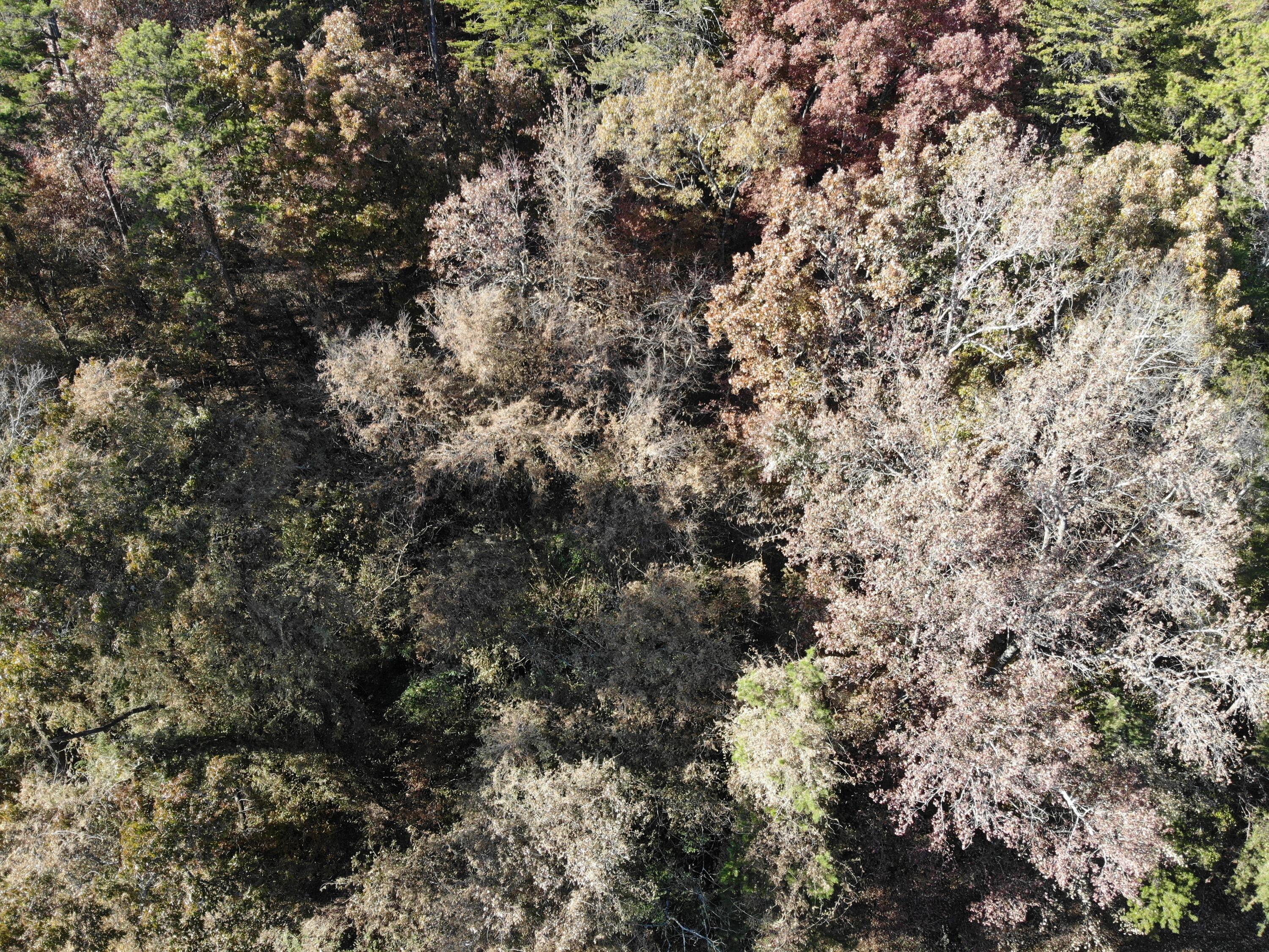 0 Dry Valley Road Rossville, GA 30741 - Photo 4 of 4 1