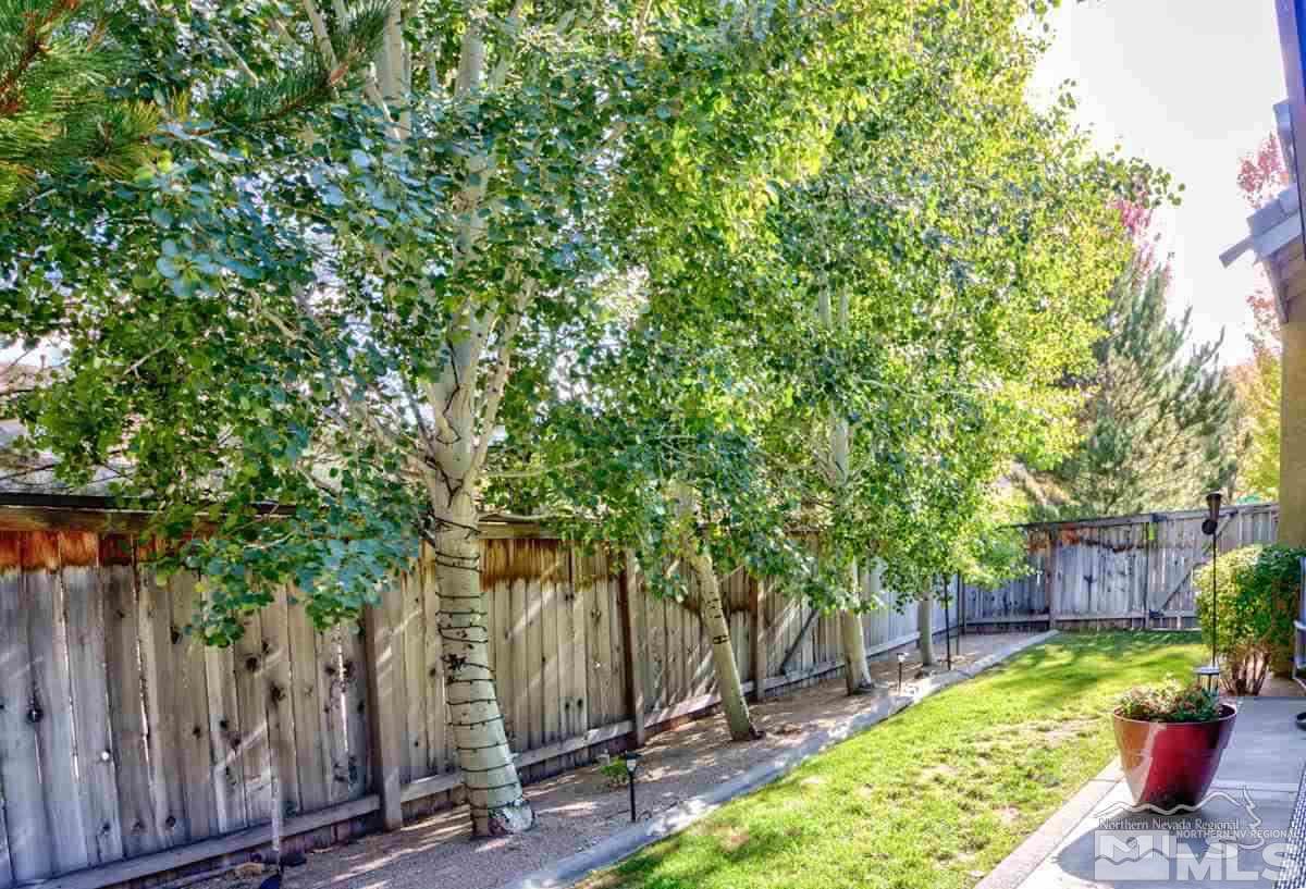 5001 Fall Colors Court Reno, NV 89519 - Photo 34 of 36 a view of a backyard with potted plants and large trees