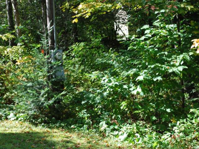 8504 West Pine Lake Road Argonne, WI 54511 - Photo 20 of 20 Gallery Image 20