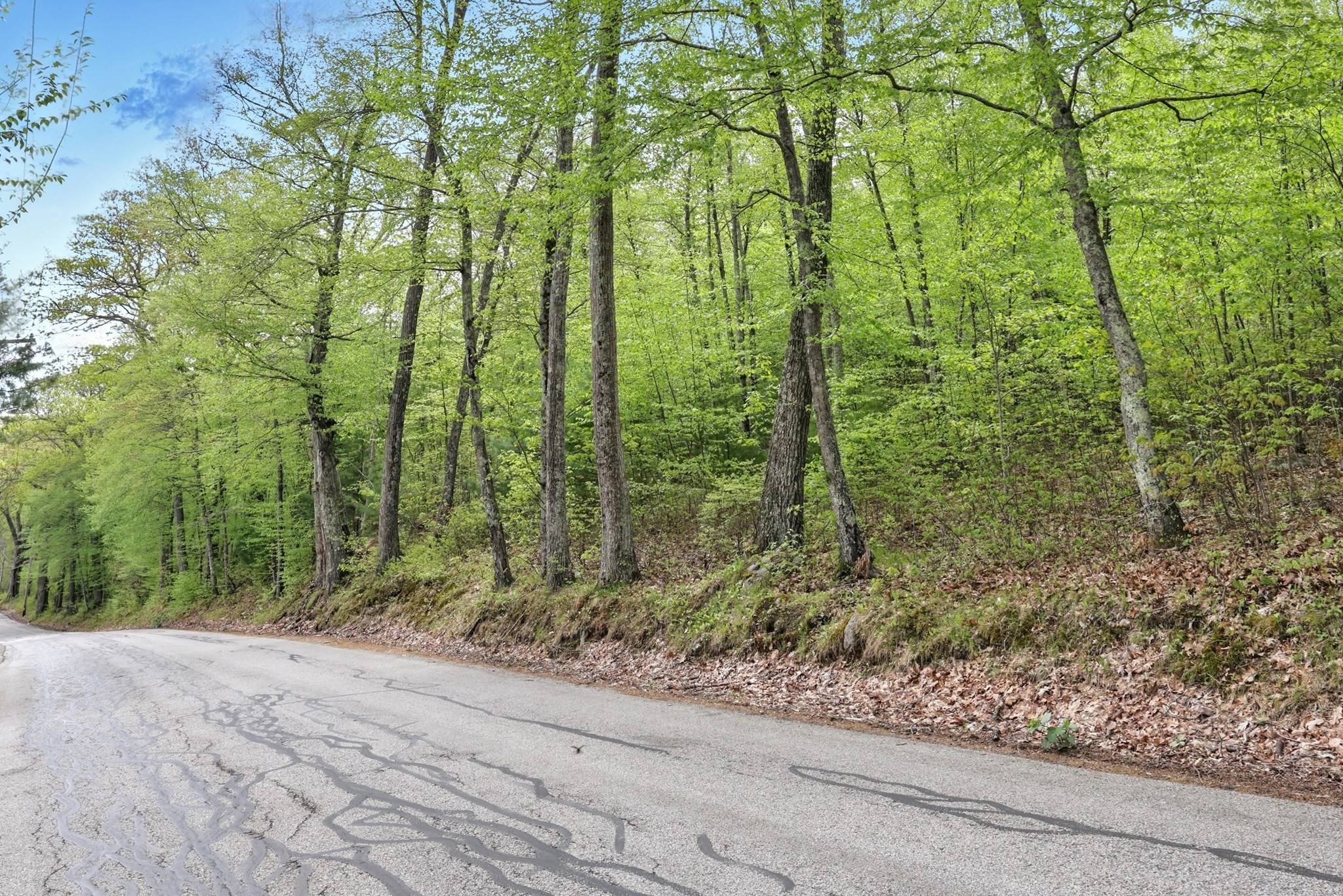 Lot 4 Reed Street Warren, MA 01083 - Photo 3 of 18 Gallery Image 3