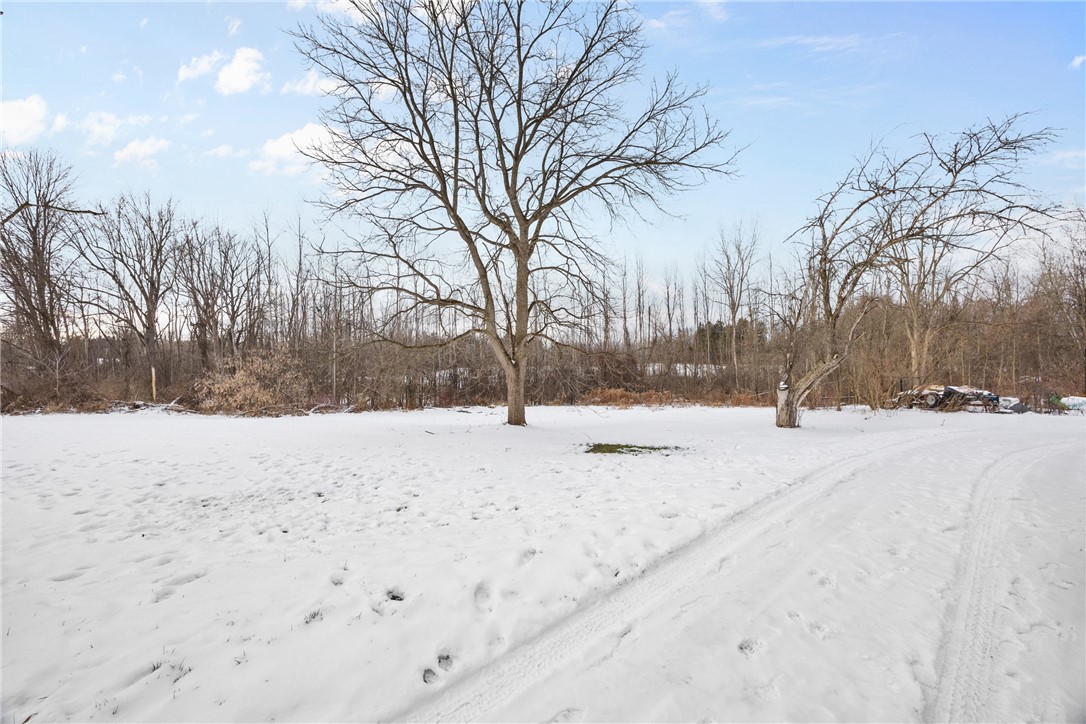 1527 Quaker Road Macedon, NY 14502 - Photo 37 of 42