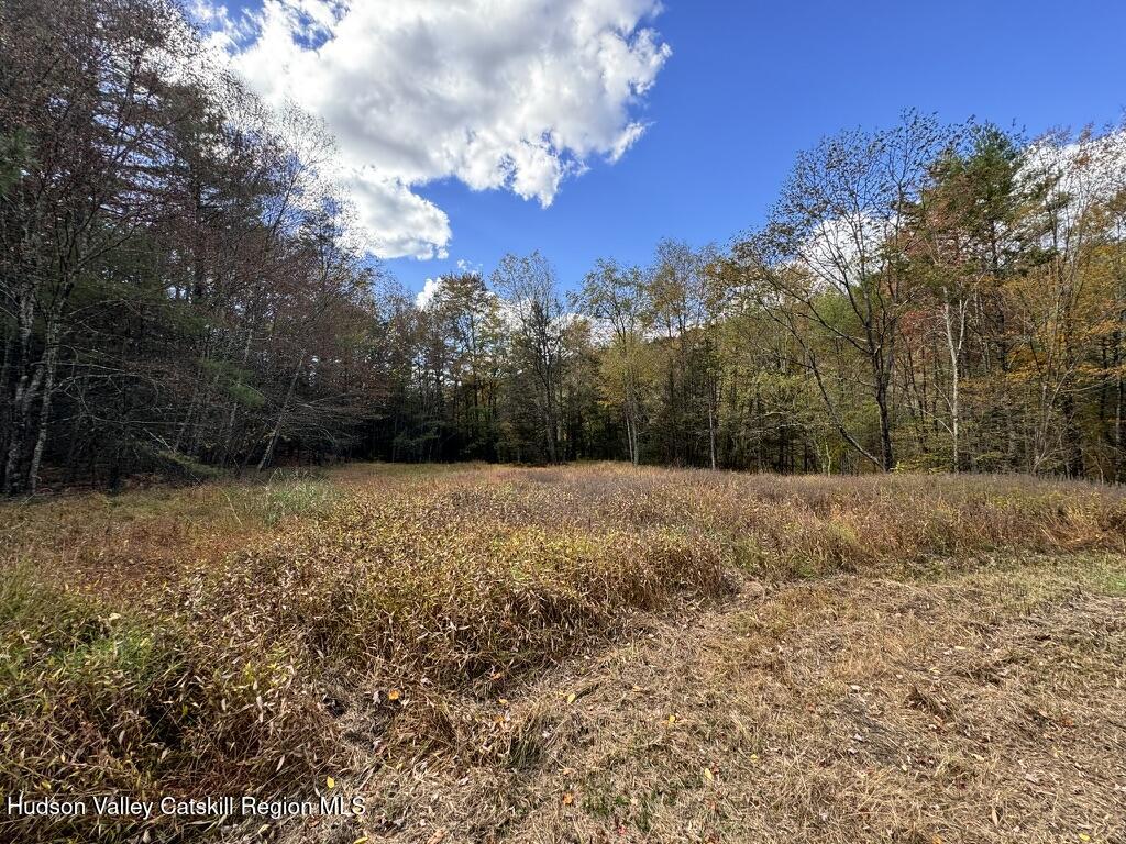 79 Beehive Road Accord, NY 12404 - Photo 19 of 19 a view of outdoor space