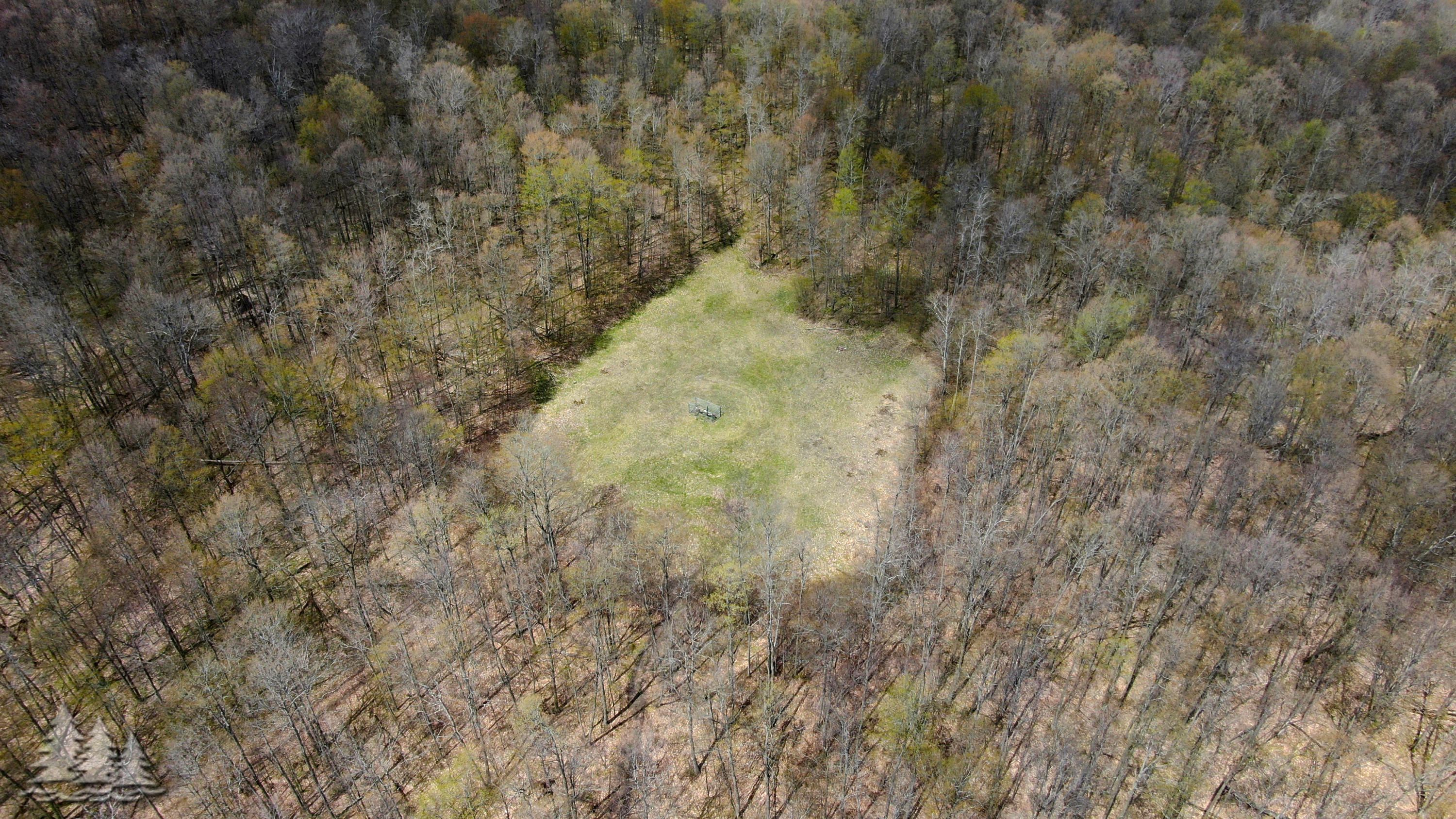 6230 Old State Road Atlanta, MI 49709 - Photo 33 of 33 Gallery Image 33