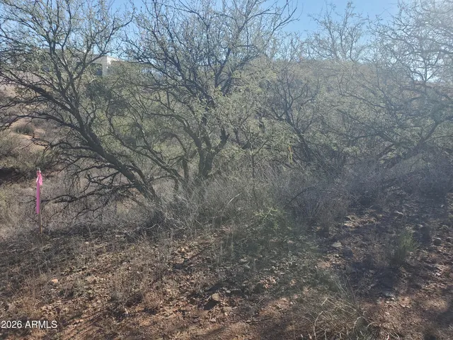 $30,000 | 909 Paseo Los Mochis, Unit 40, Rio Rico, AZ 85648