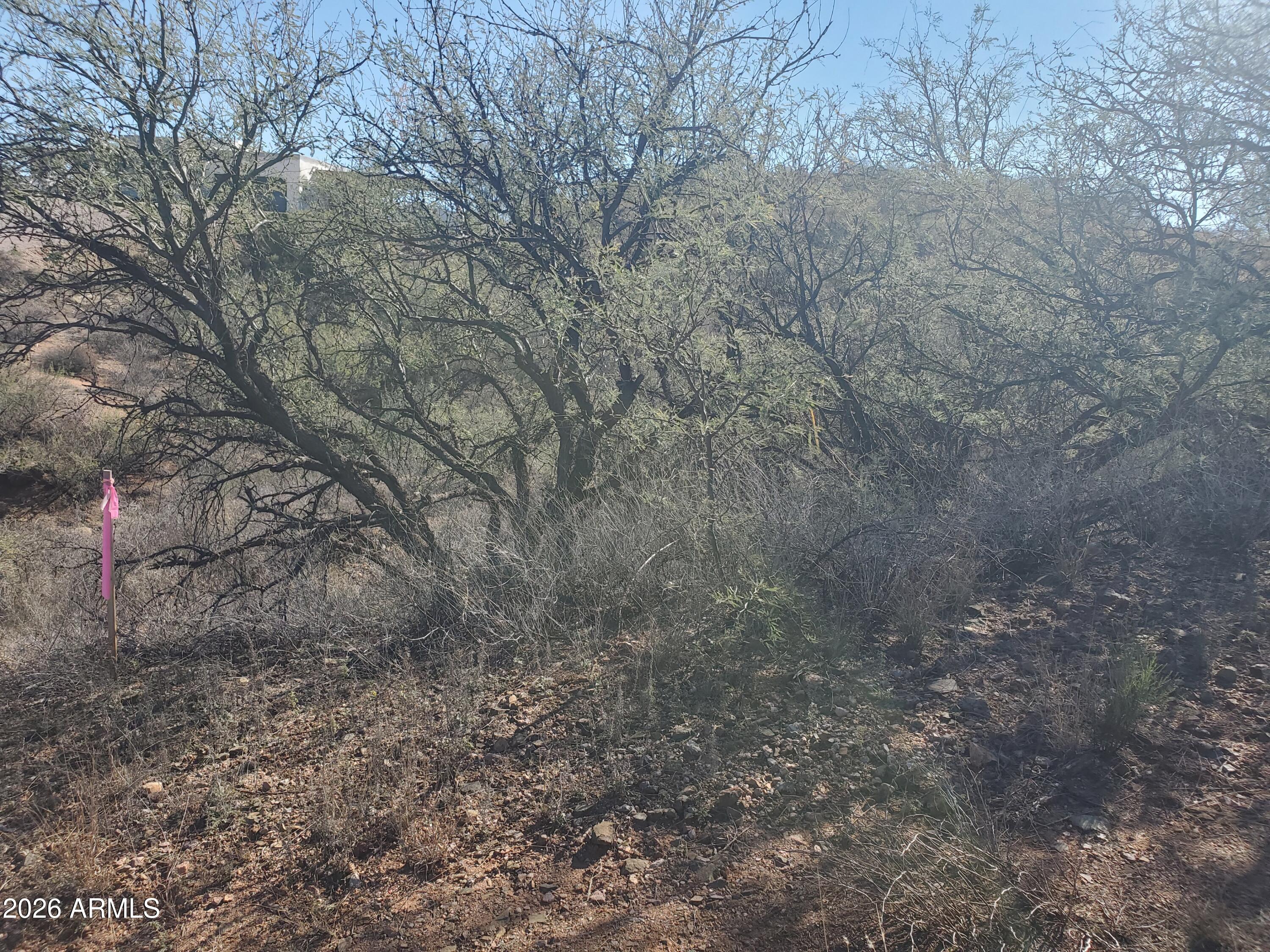 909 Paseo Los Mochis, Unit 40 Rio Rico, AZ 85648 - Photo 1 of 16 20260115_122030