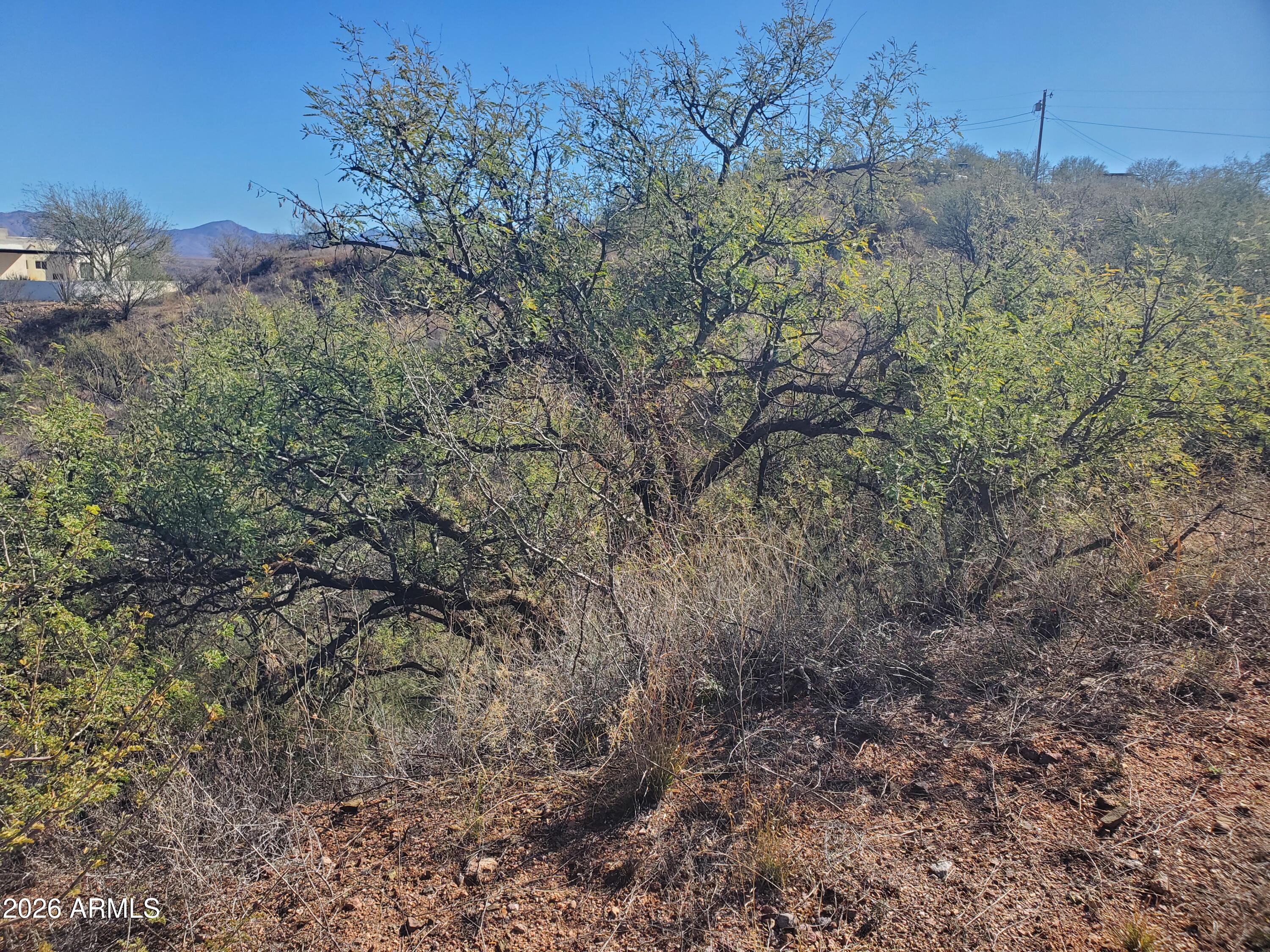 909 Paseo Los Mochis, Unit 40 Rio Rico, AZ 85648 - Photo 12 of 16 20260115_121801