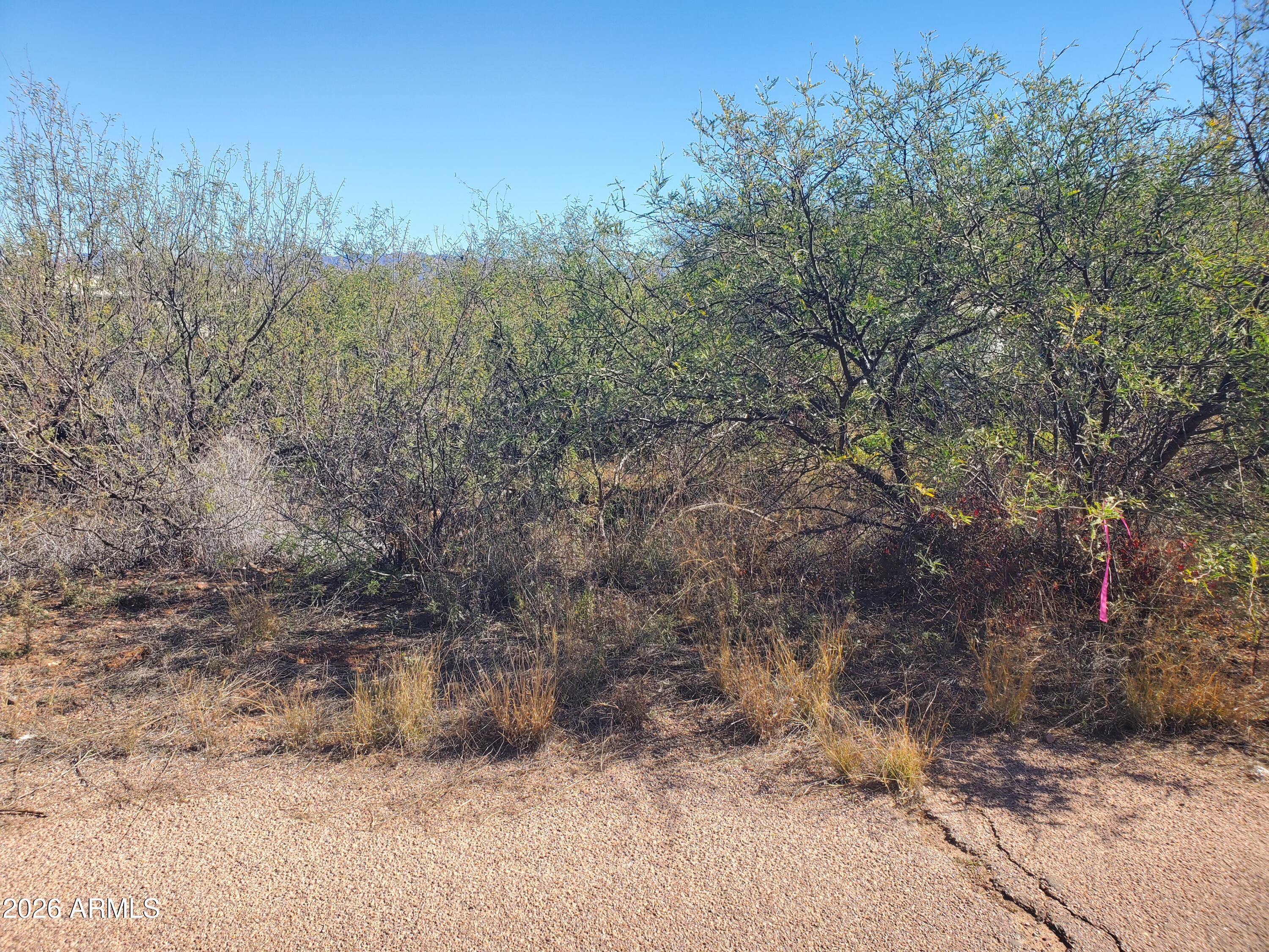 909 Paseo Los Mochis, Unit 40 Rio Rico, AZ 85648 - Photo 15 of 16 20260115_121637