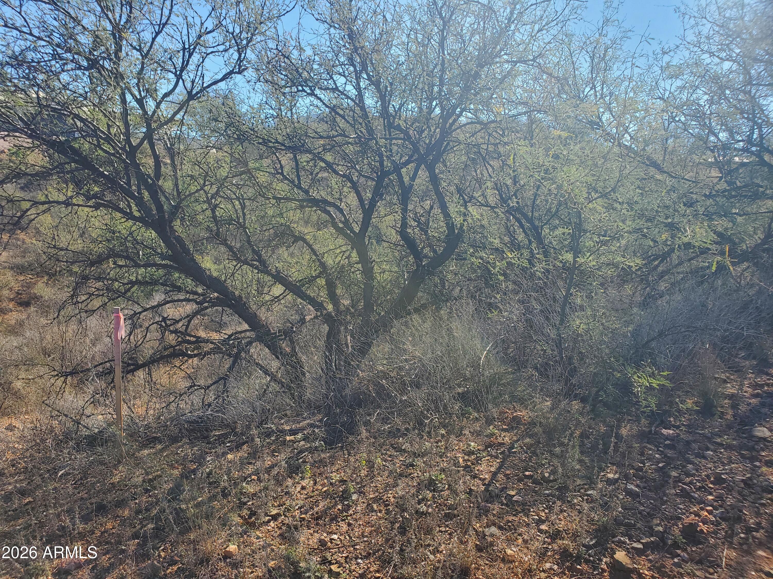 909 Paseo Los Mochis, Unit 40 Rio Rico, AZ 85648 - Photo 9 of 16 20260115_121940