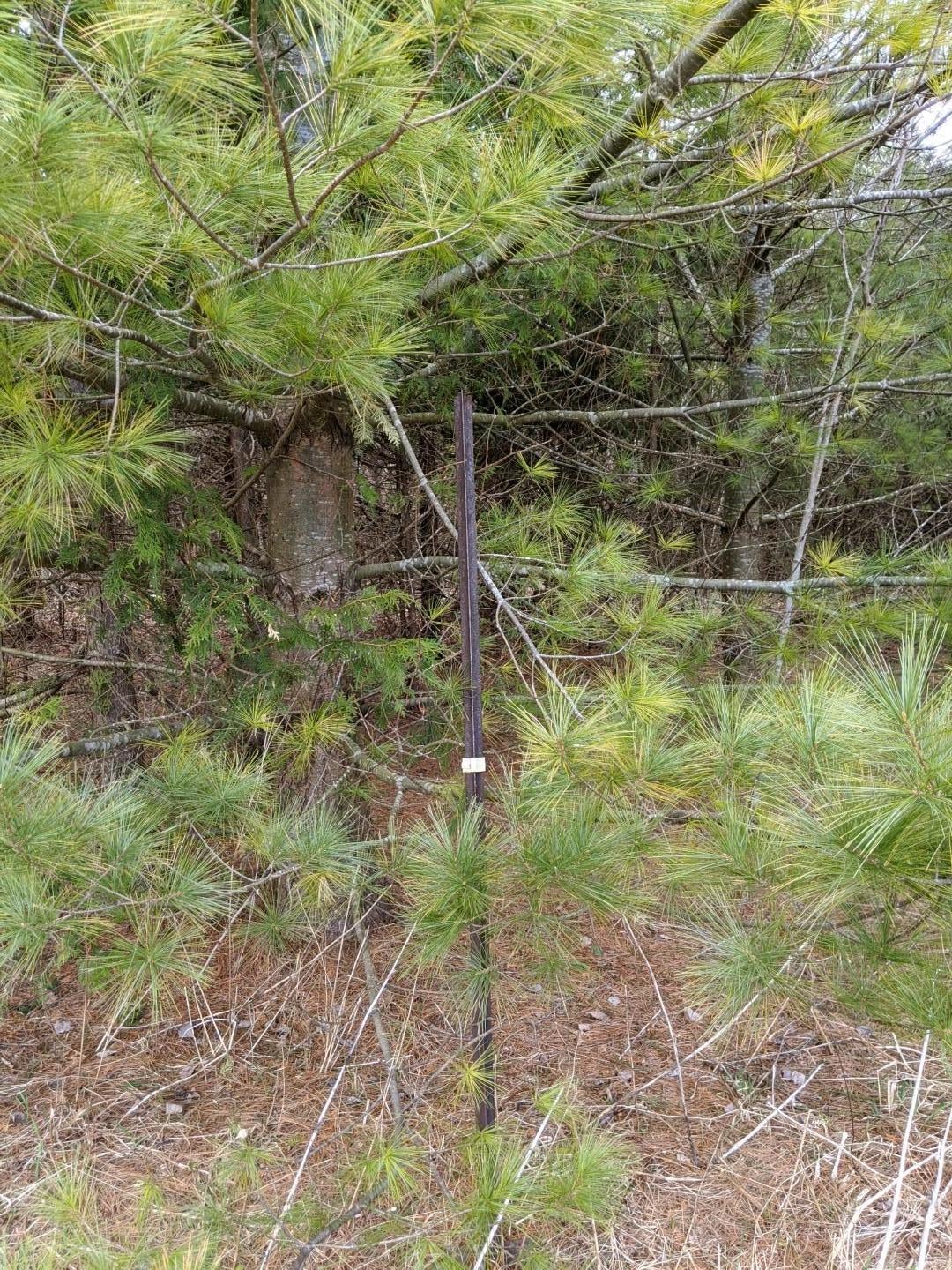 0 Dukes Road Moran, MI 49760 - Photo 13 of 23 Gallery Image 13