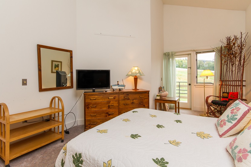 790 Stratton Mountain Road, Unit 3630 Bondville, VT 05340 - Photo 17 of 34