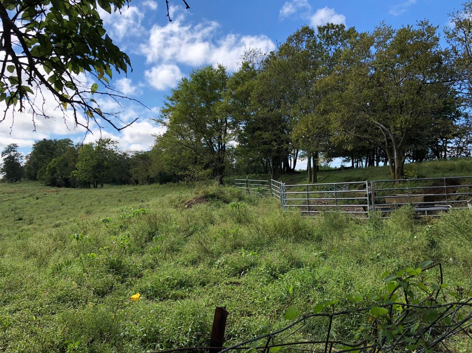 2000 Poosey Ridge Road Richmond, KY 40475 - Photo 10 of 51 Photo 12