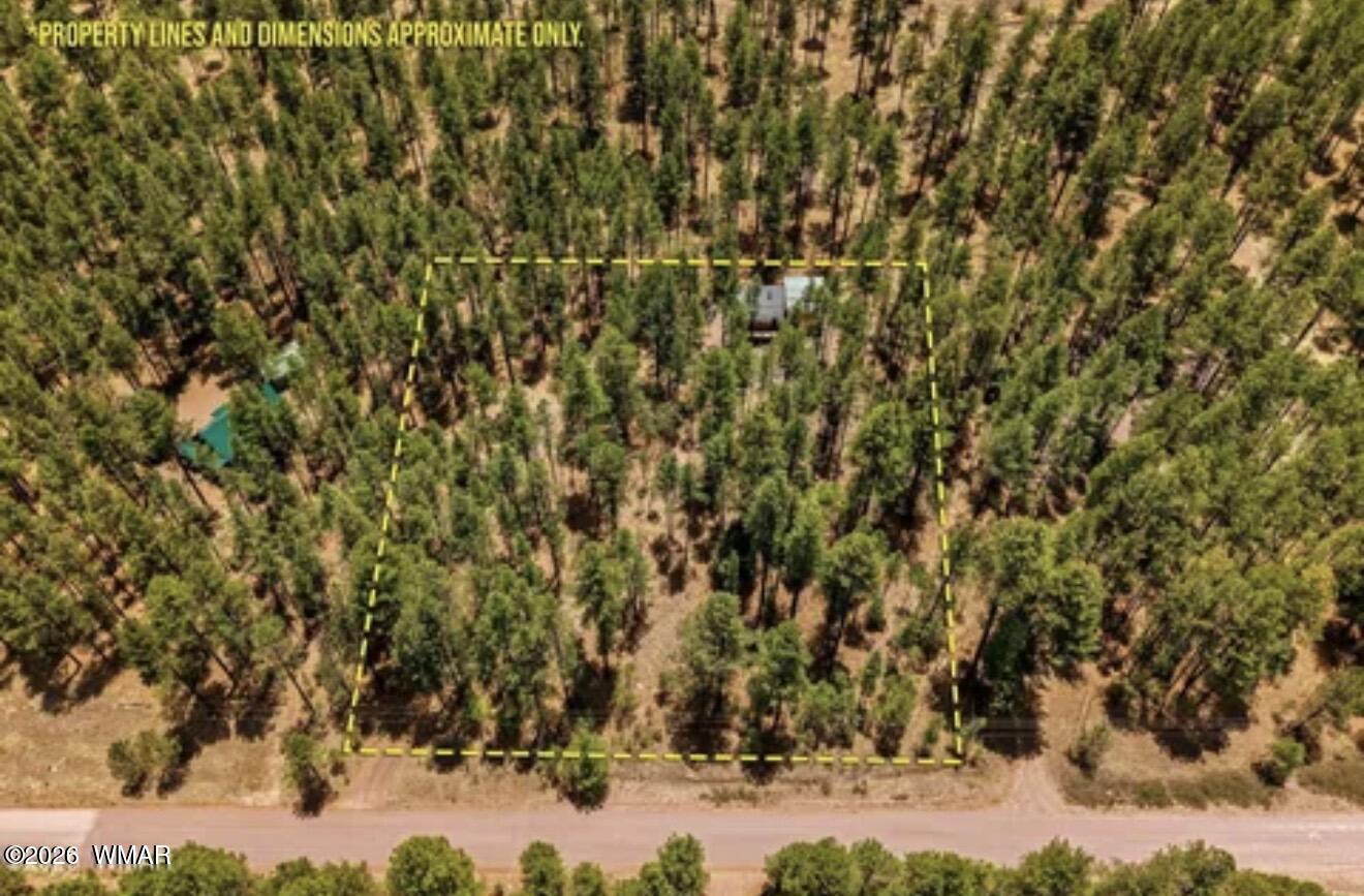 70 County Road 2266 Alpine, AZ 85920 - Photo 2 of 2