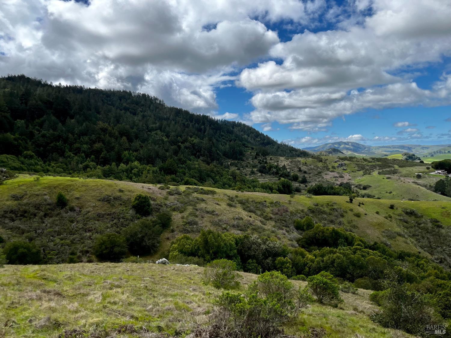 4000 Old Rancheria Road Nicasio, CA 94946 - Photo 39 of 46