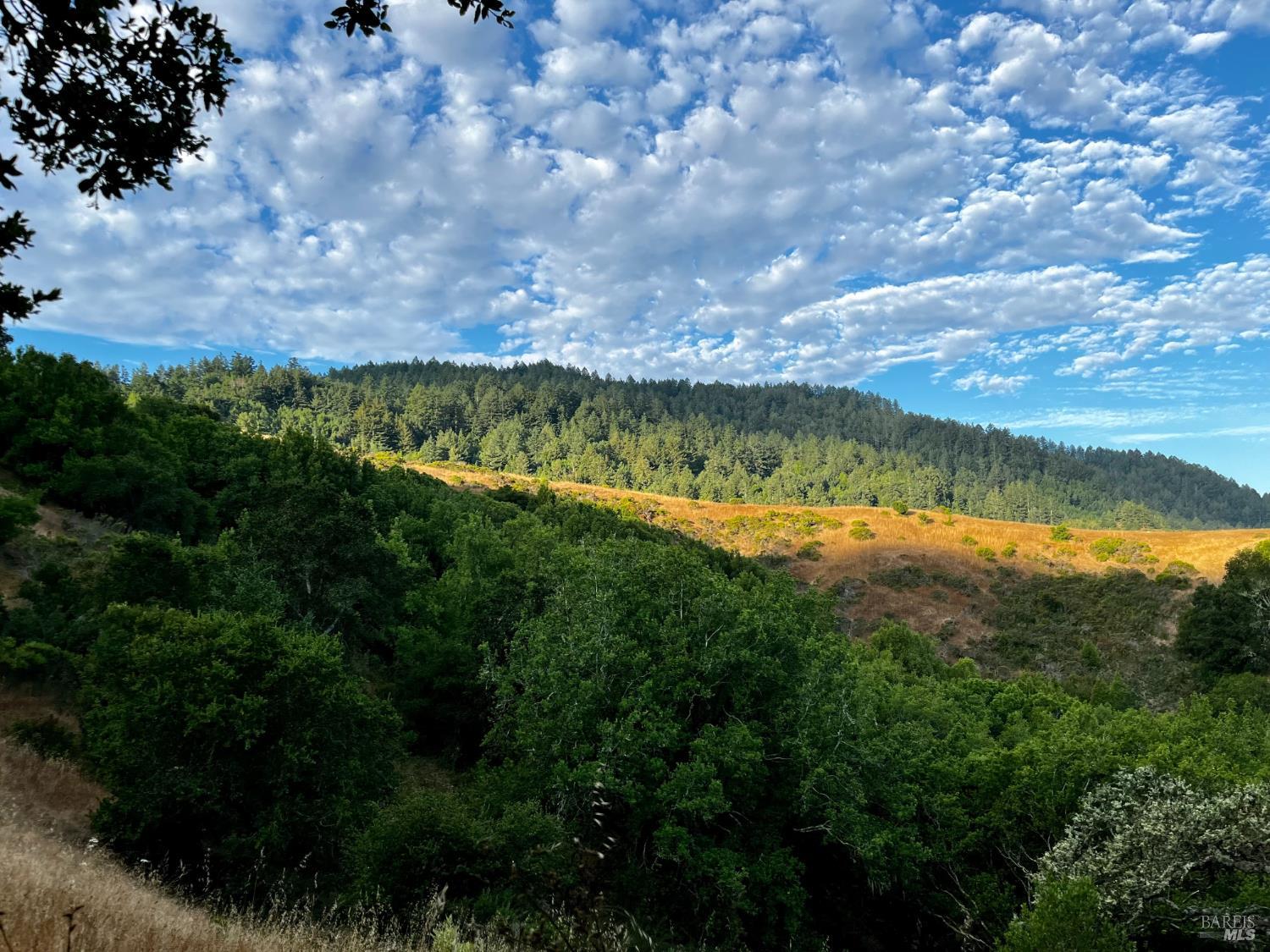 4000 Old Rancheria Road Nicasio, CA 94946 - Photo 40 of 46