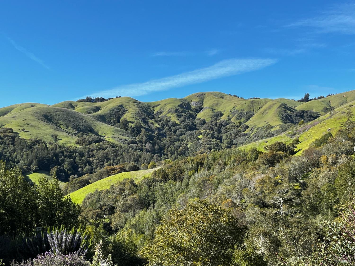 4000 Old Rancheria Road Nicasio, CA 94946 - Photo 41 of 46
