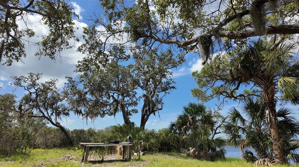 0 Clark Island Cedar Key, FL 32625 - Photo 22 of 24