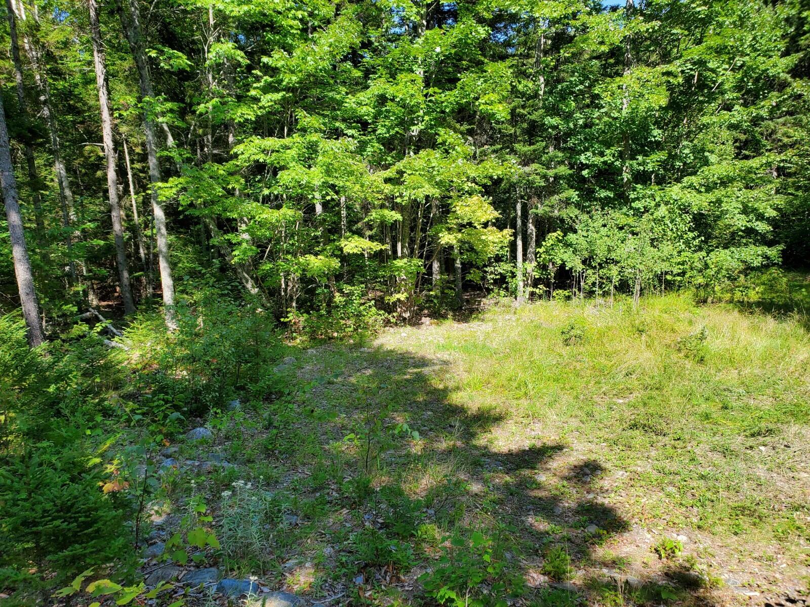 Lot 8 East Ridge Road Cooper, ME 04657 - Photo 11 of 14 20210816_145123