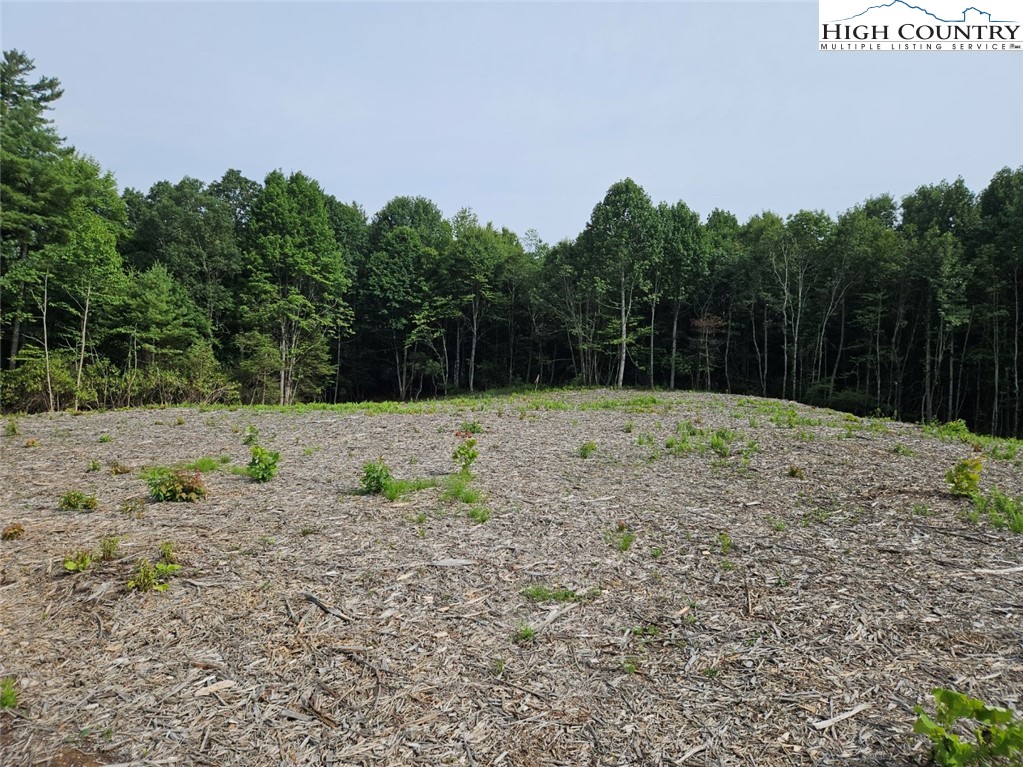 Whispering Pines Road Boone, NC 28607 - Photo 12 of 18