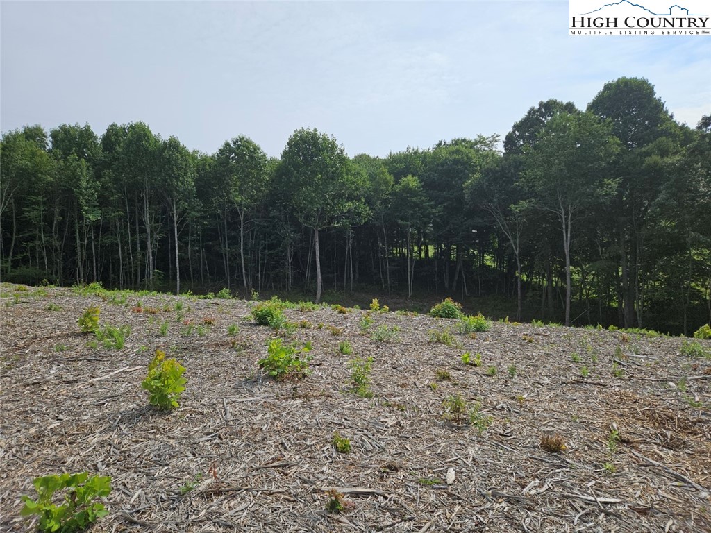 Whispering Pines Road Boone, NC 28607 - Photo 13 of 18