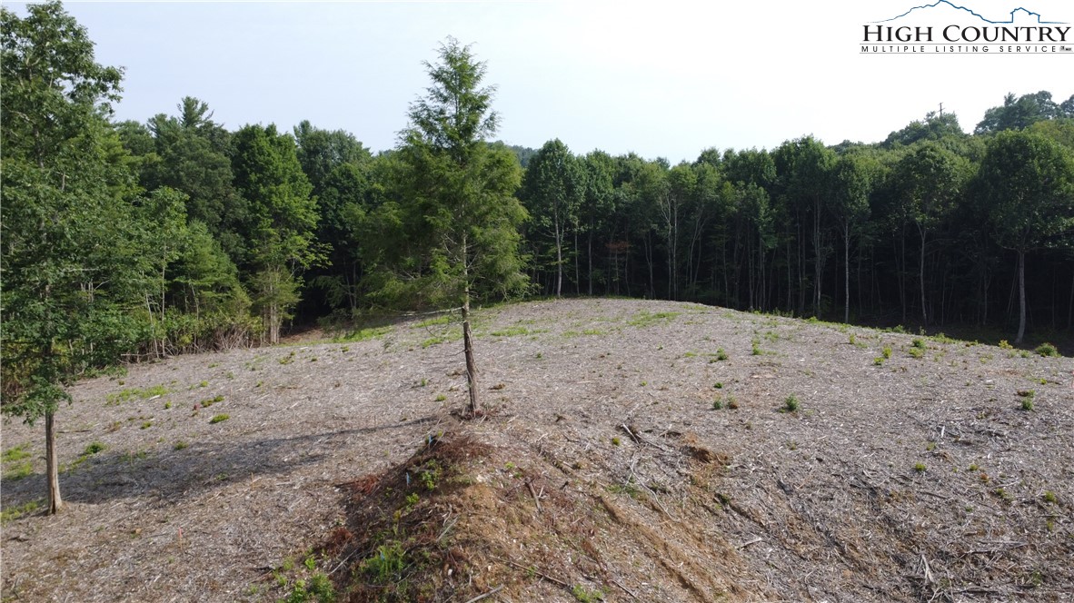 Whispering Pines Road Boone, NC 28607 - Photo 14 of 18