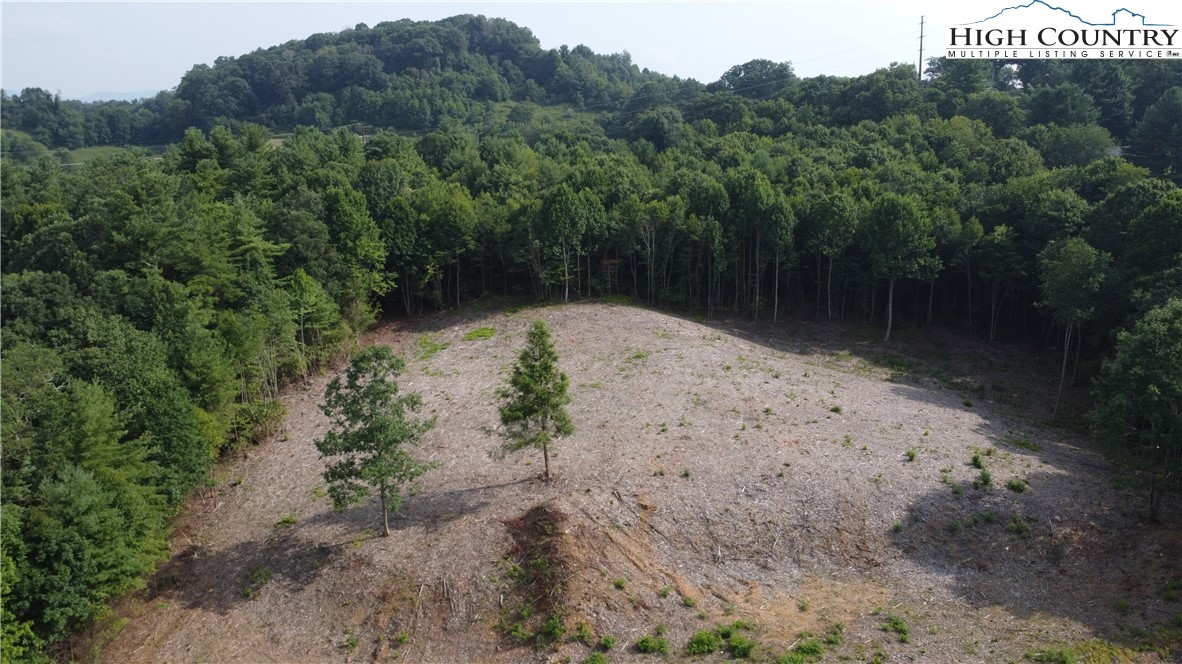 Whispering Pines Road Boone, NC 28607 - Photo 15 of 18