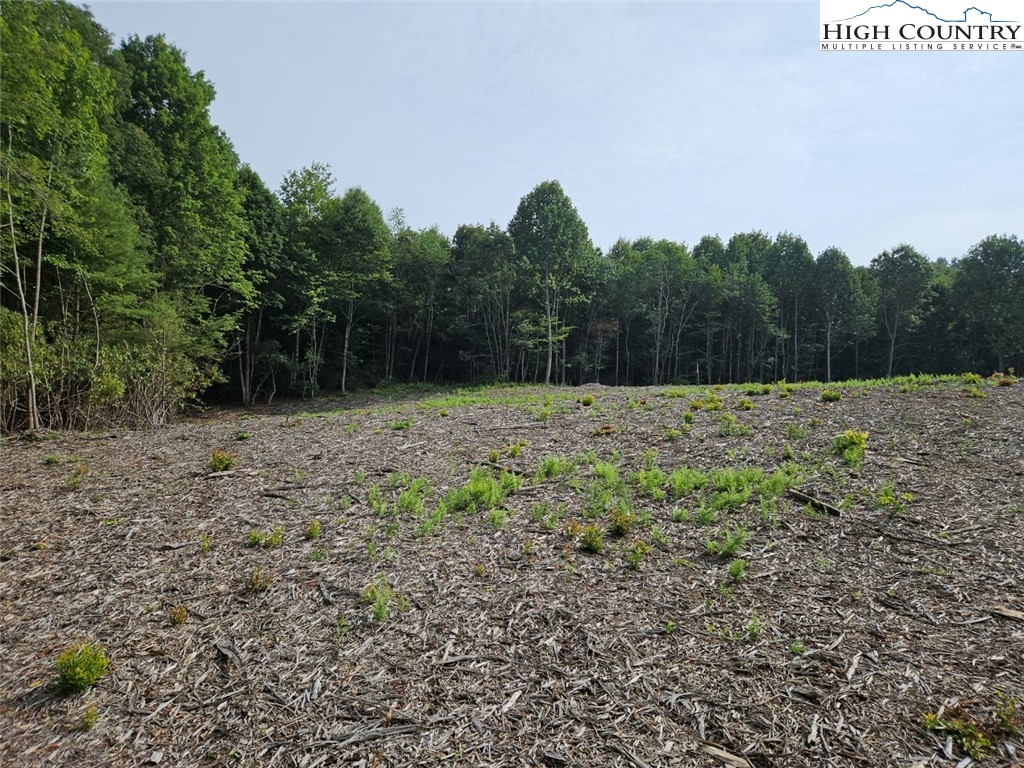 Whispering Pines Road Boone, NC 28607 - Photo 5 of 18