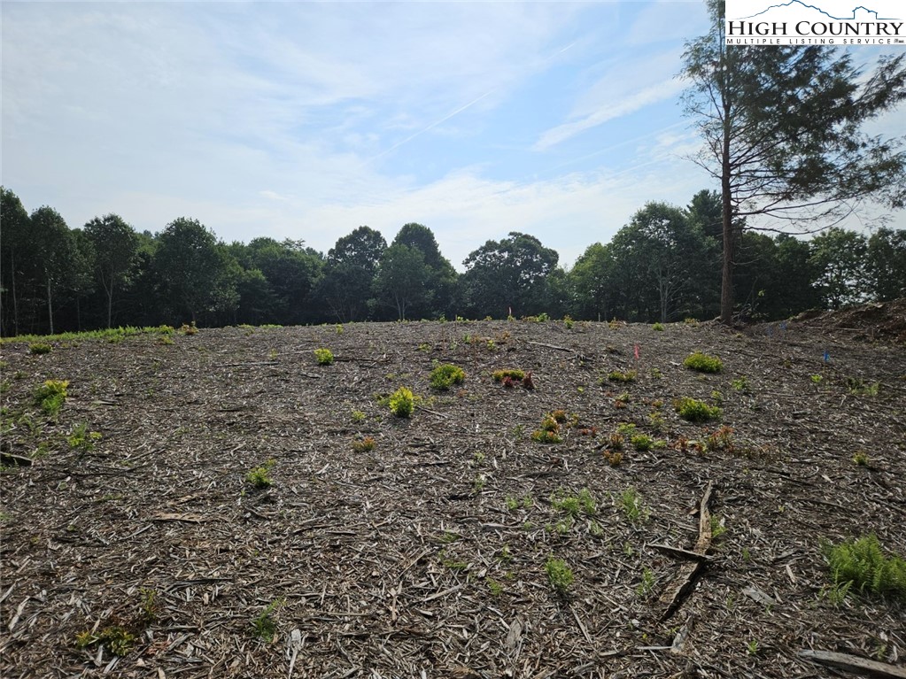 Whispering Pines Road Boone, NC 28607 - Photo 6 of 18