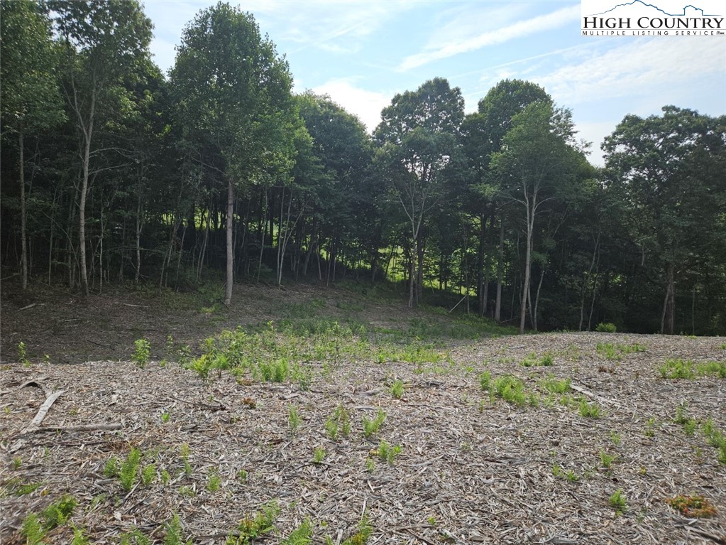 Whispering Pines Road Boone, NC 28607 - Photo 8 of 18