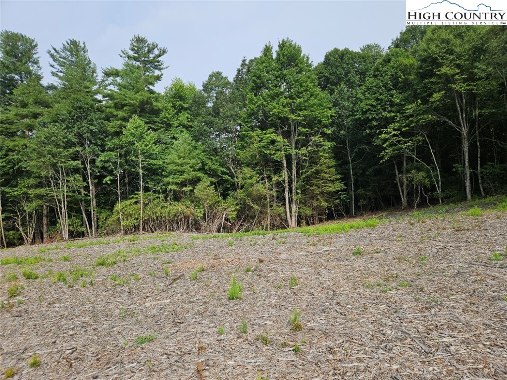 Whispering Pines Road Boone, NC 28607 - Photo 9 of 18