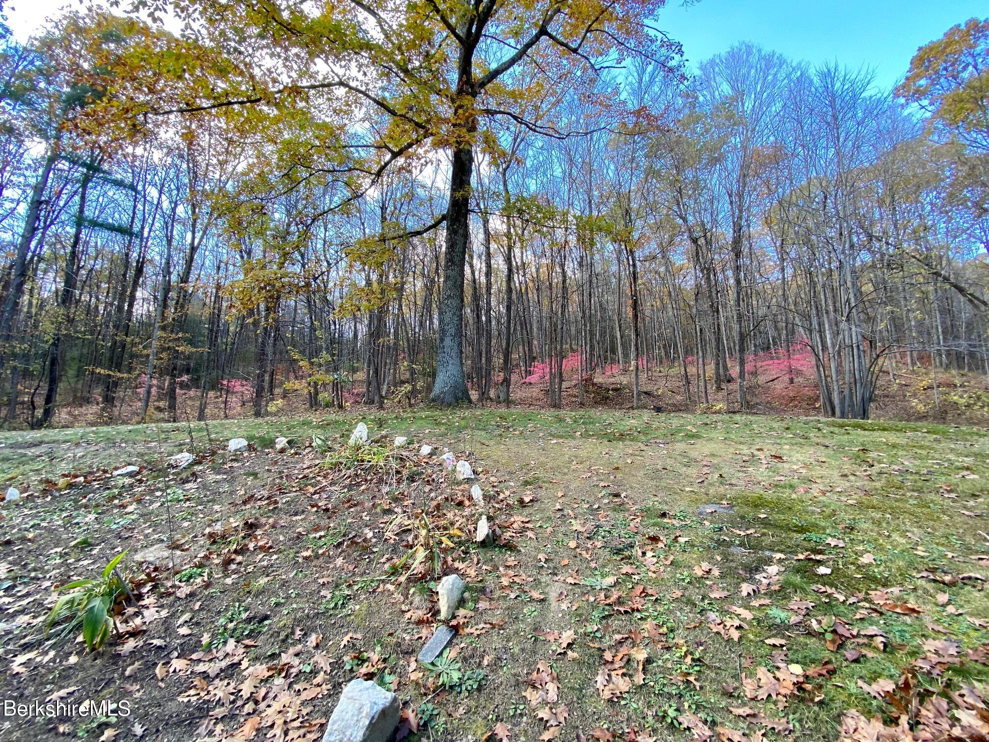 151 W Road Sheffield, MA 01257 - Photo 23 of 28 BACK YARD