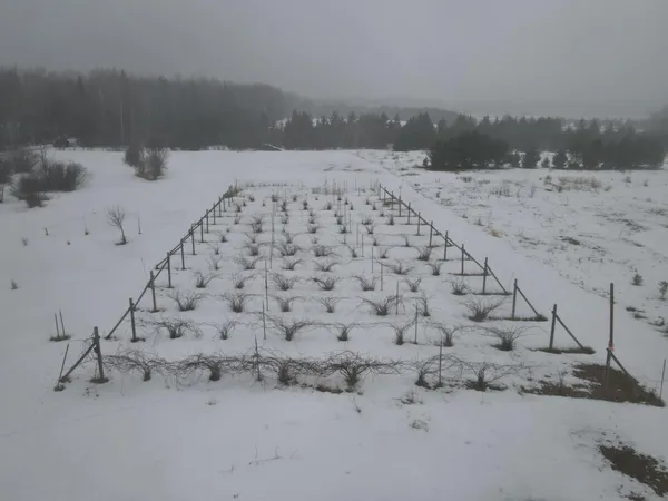 $325,000 | 53434 Smolik Road, Max, MN 56659