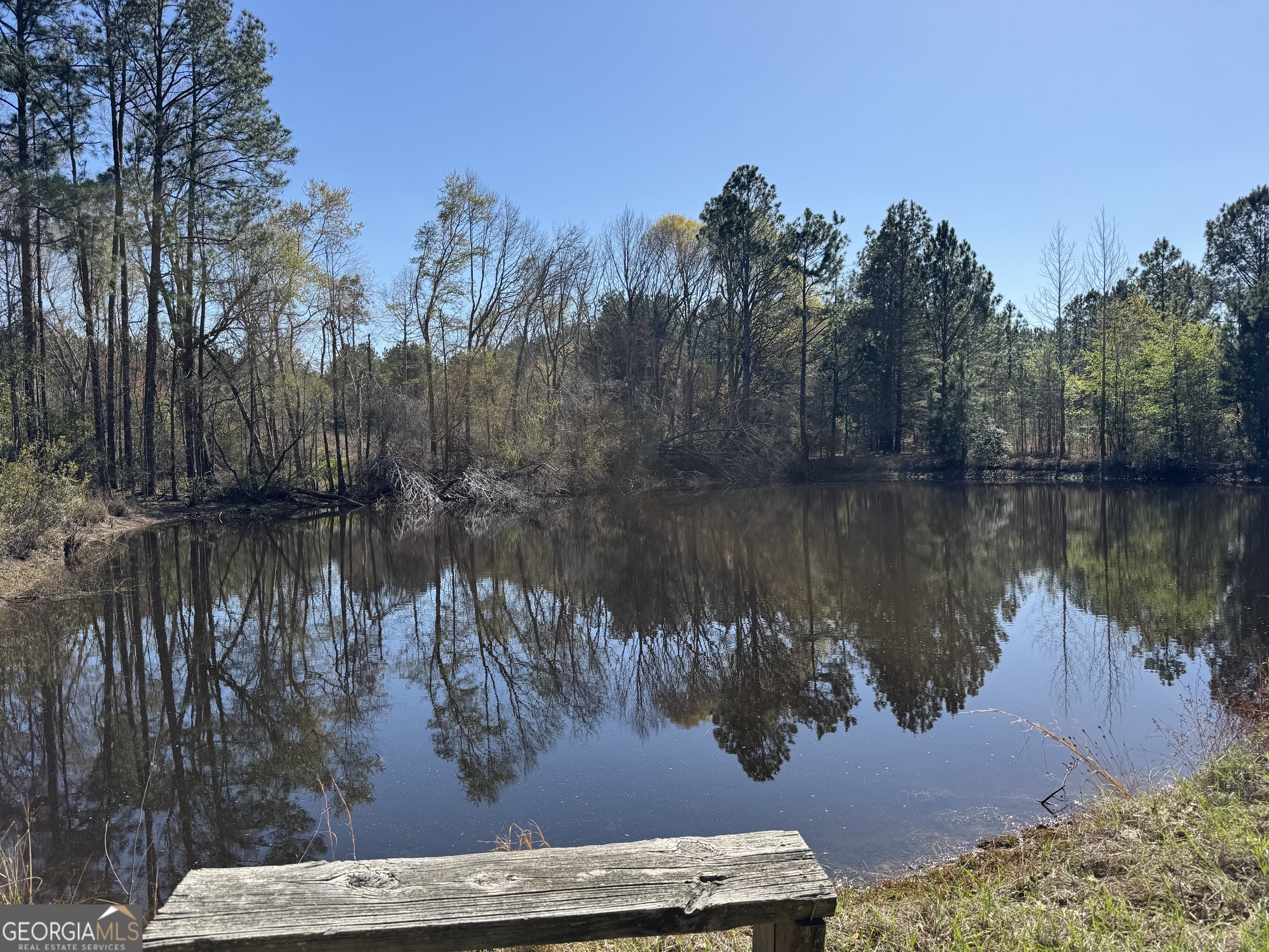 442 Fox Run Road Adrian, GA 31002 - Photo 1 of 11