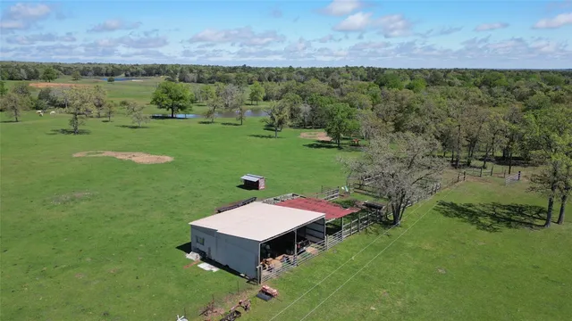 a view of a backyard with a big yard