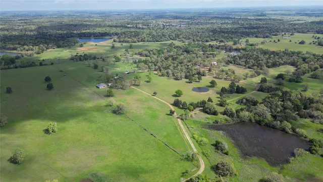 an aerial view of forest